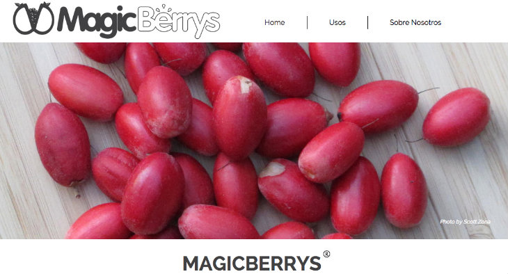 magicberrys